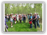 heimart_130505_23